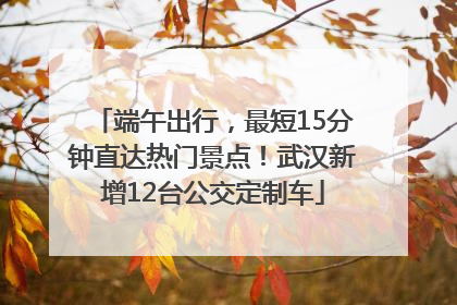 端午出行，最短15分钟直达热门景点！武汉新增12台公交定制车