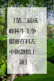 第二届成峰杯牛王争霸赛在科左中旗激情上演