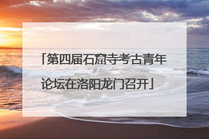 第四届石窟寺考古青年论坛在洛阳龙门召开