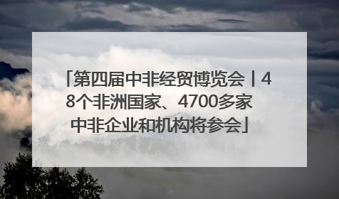第四届中非经贸博览会丨48个非洲国家、4700多家中非企业和机构将参会