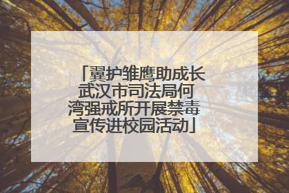 翼护雏鹰助成长 武汉市司法局何湾强戒所开展禁毒宣传进校园活动