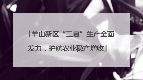 羊山新区“三夏”生产全面发力，护航农业稳产增收