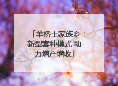 羊桥土家族乡：新型套种模式 助力增产增收