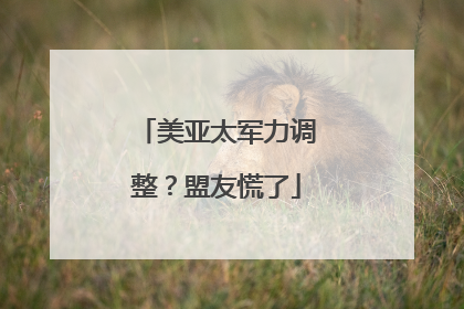 美亚太军力调整？盟友慌了