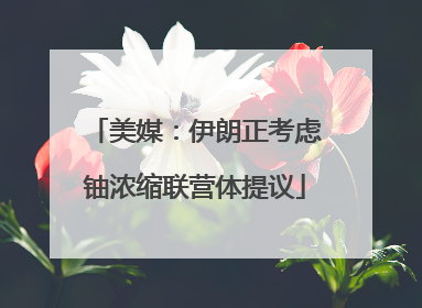 美媒：伊朗正考虑铀浓缩联营体提议
