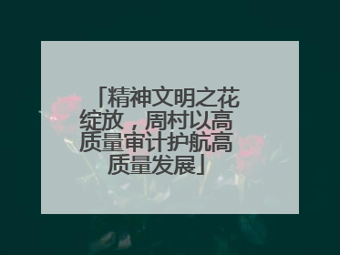 精神文明之花绽放，周村以高质量审计护航高质量发展