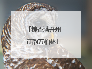 粽香满并州 诗韵万柏林