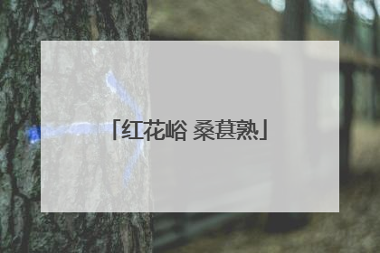 红花峪 桑葚熟