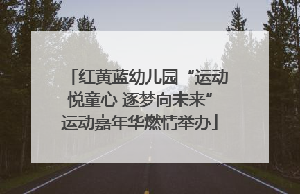 红黄蓝幼儿园“运动悦童心 逐梦向未来”运动嘉年华燃情举办
