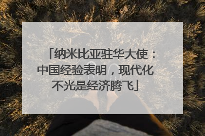 纳米比亚驻华大使：中国经验表明，现代化不光是经济腾飞