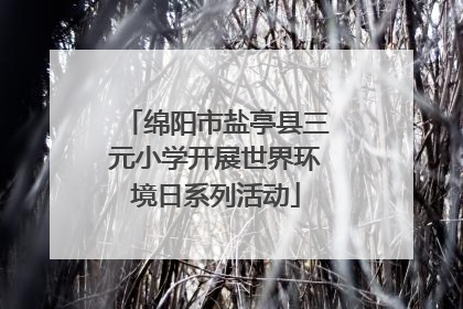 绵阳市盐亭县三元小学开展世界环境日系列活动