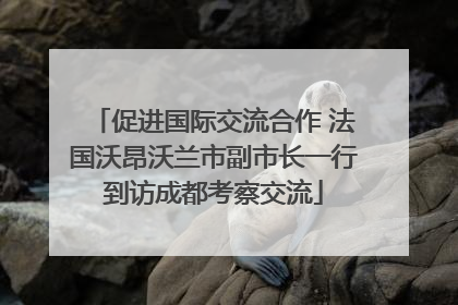 促进国际交流合作 法国沃昂沃兰市副市长一行到访成都考察交流