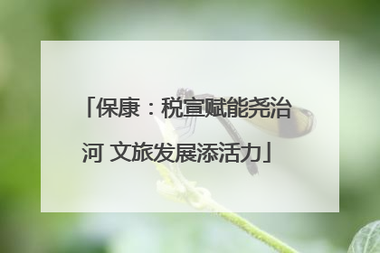 保康：税宣赋能尧治河 文旅发展添活力