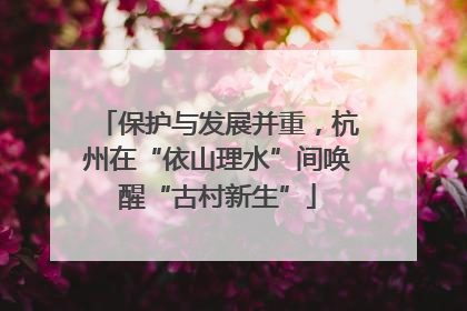 保护与发展并重，杭州在“依山理水”间唤醒“古村新生”