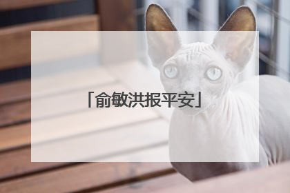 俞敏洪报平安