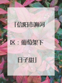 信阳市浉河区：葡萄架下日子甜
