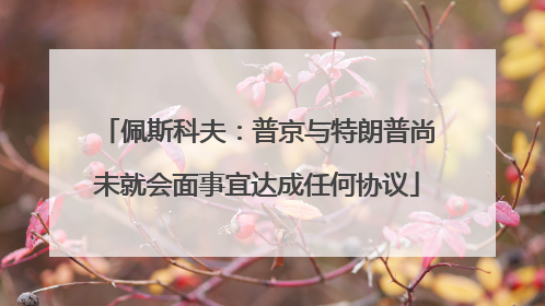 佩斯科夫：普京与特朗普尚未就会面事宜达成任何协议