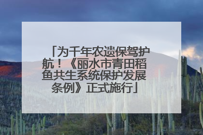 为千年农遗保驾护航！《丽水市青田稻鱼共生系统保护发展条例》正式施行