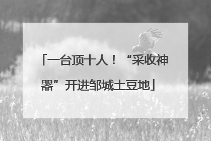 一台顶十人！“采收神器”开进邹城土豆地