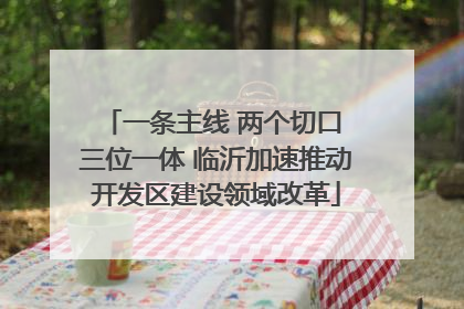 一条主线 两个切口 三位一体 临沂加速推动开发区建设领域改革