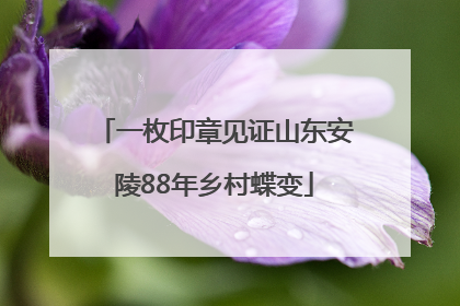一枚印章见证山东安陵88年乡村蝶变