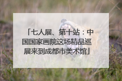 七人展、第十站：中国国家画院这场精品巡展来到成都市美术馆