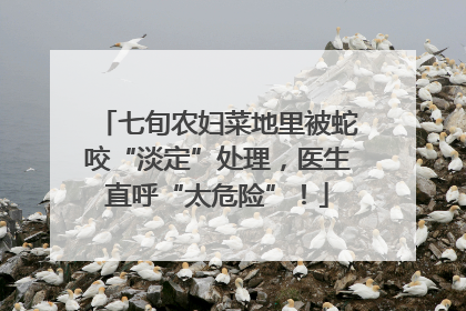 七旬农妇菜地里被蛇咬“淡定”处理，医生直呼“太危险”！