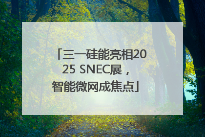 三一硅能亮相2025 SNEC展，智能微网成焦点