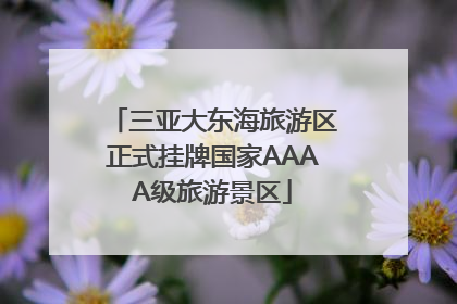 三亚大东海旅游区正式挂牌国家AAAA级旅游景区
