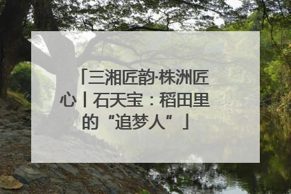三湘匠韵·株洲匠心丨石天宝：稻田里的“追梦人”