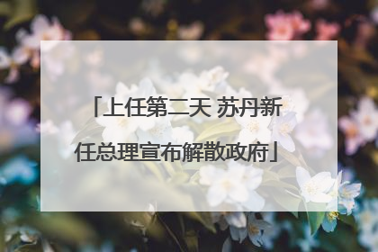 上任第二天 苏丹新任总理宣布解散政府