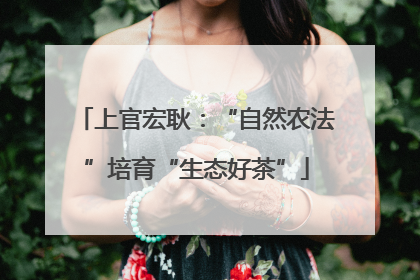 上官宏耿：“自然农法”培育“生态好茶”