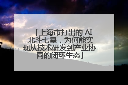 上海市打出的 AI 北斗七星，为何能实现从技术研发到产业协同的闭环生态