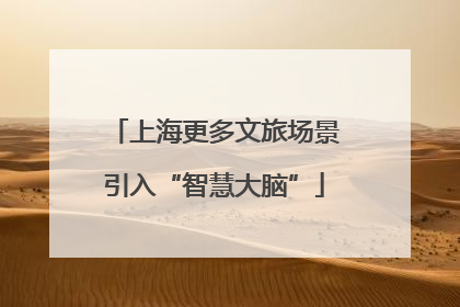 上海更多文旅场景引入“智慧大脑”