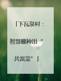 下瓦泉村：智慧棚种出“共富菜”