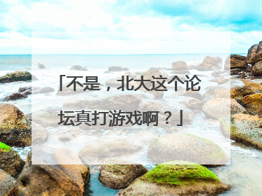 不是，北大这个论坛真打游戏啊？
