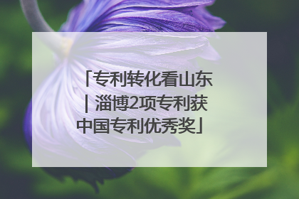 专利转化看山东｜淄博2项专利获中国专利优秀奖