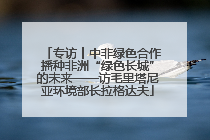 专访丨中非绿色合作播种非洲“绿色长城”的未来——访毛里塔尼亚环境部长拉格达夫