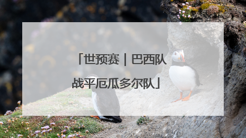 世预赛｜巴西队战平厄瓜多尔队