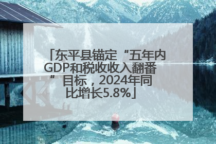 东平县锚定“五年内GDP和税收收入翻番”目标，2024年同比增长5.8%