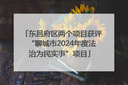 东昌府区两个项目获评“聊城市2024年度法治为民实事”项目