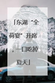 东湖“全荷宴”开席，一口吃掉夏天