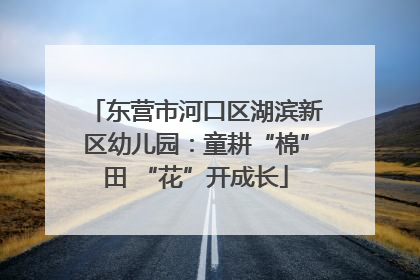 东营市河口区湖滨新区幼儿园：童耕“棉”田 “花”开成长