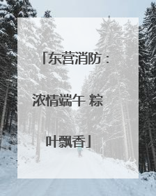 东营消防：浓情端午 粽叶飘香