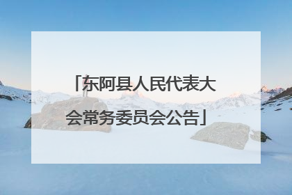 东阿县人民代表大会常务委员会公告