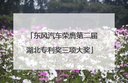 东风汽车荣膺第二届湖北专利奖三项大奖