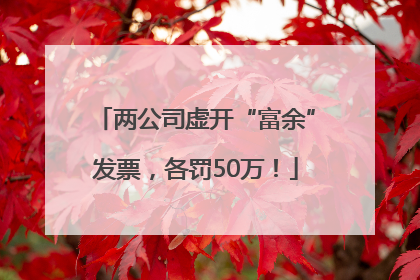 两公司虚开“富余”发票，各罚50万！