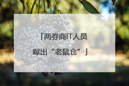 两券商IT人员曝出“老鼠仓”