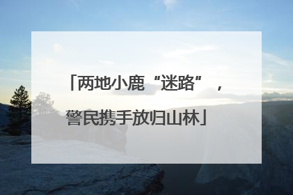 两地小鹿“迷路”，警民携手放归山林