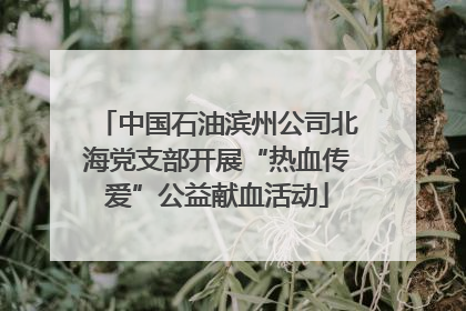 中国石油滨州公司北海党支部开展“热血传爱”公益献血活动